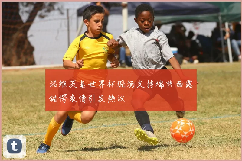 诺维茨基世界杯现场支持瑞典面露错愕表情引发热议