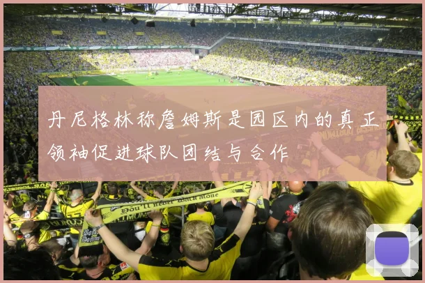 丹尼格林称詹姆斯是园区内的真正领袖促进球队团结与合作